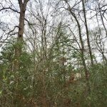 Recreational property for sale in Beauregard Parish