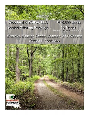 Bienville Parish Timberland for sale