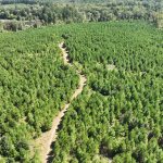 Recreational property for sale in Claiborne Parish