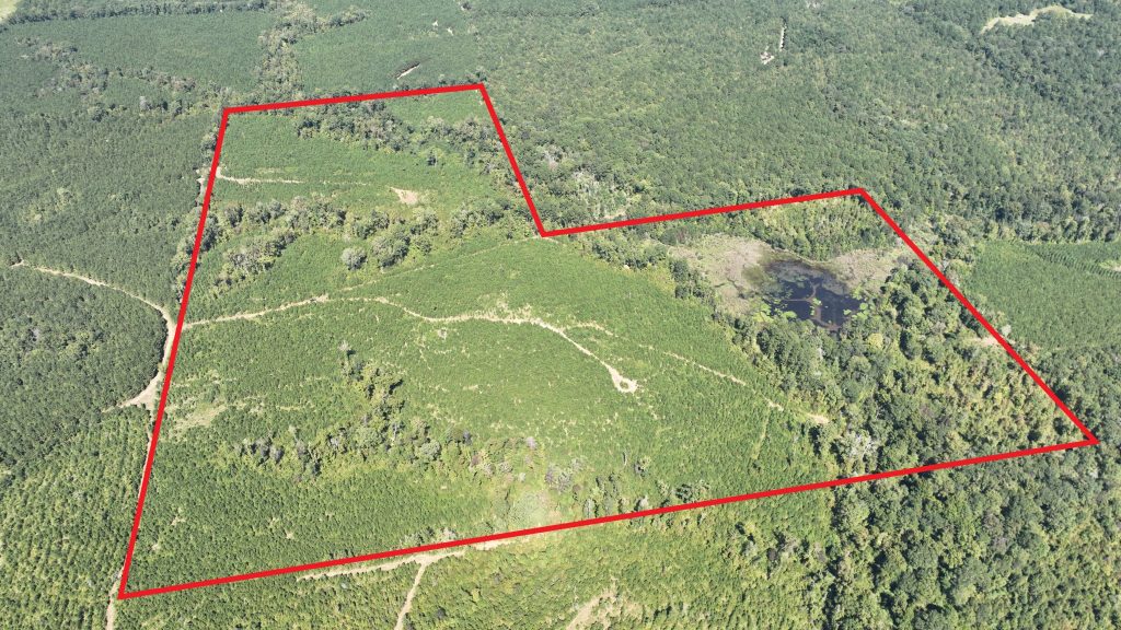Claiborne Parish Timberland property for sale