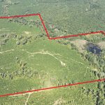 Claiborne Parish Timberland property for sale
