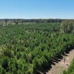 Claiborne Parish Recreational land for sale