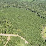 Claiborne Parish Recreational land for sale