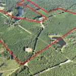 Timberland property for sale in Claiborne Parish