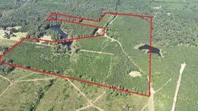 Claiborne Parish Timberland property for sale