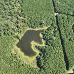 Claiborne Parish Recreational land for sale