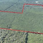 Timberland for sale in Claiborne Parish