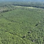 Recreational property for sale in Claiborne Parish