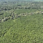 Recreational land for sale in Claiborne Parish