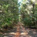 Claiborne Parish Recreational land for sale