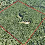Timberland for sale in Claiborne Parish
