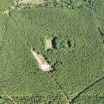 Claiborne Parish Timberland for sale