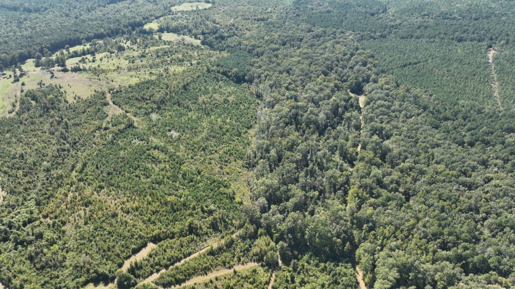 Claiborne Parish Timberland property for sale