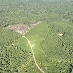 Claiborne Parish Recreational land for sale