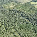 Recreational property for sale in Claiborne Parish