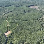 Timberland property for sale in Claiborne Parish