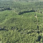 Claiborne Parish Recreational land for sale