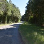 Claiborne Parish Timberland property for sale