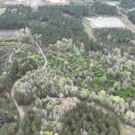 Investment land for sale in DeSoto Parish