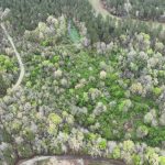 Investment land for sale in DeSoto Parish