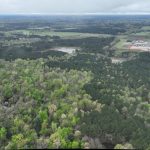 DeSoto Parish Investment land for sale