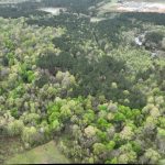 Investment land for sale in DeSoto Parish