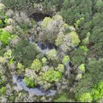 Investment land for sale in DeSoto Parish