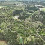 DeSoto Parish Timberland for sale