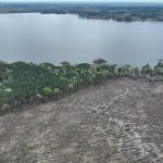 Timberland property for sale in Red River Parish