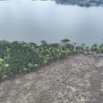 Red River Parish Timberland for sale