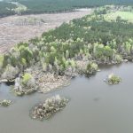 Timberland for sale in Red River Parish