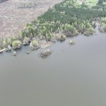 Timberland property for sale in Red River Parish