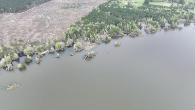 Timberland property for sale in Red River Parish