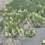 Recreational land for sale in Red River Parish