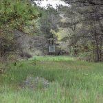 Timberland for sale in DeSoto Parish