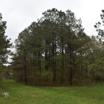 DeSoto Parish Investment property for sale