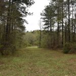 DeSoto Parish Recreational property for sale