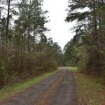 DeSoto Parish Recreational land for sale