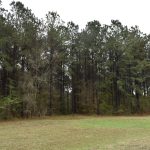 Timberland property for sale in DeSoto Parish