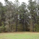 Investment property for sale in DeSoto Parish