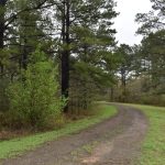 Investment land for sale in DeSoto Parish