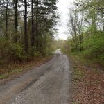 Timberland for sale in DeSoto Parish