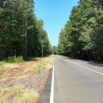 Caddo Parish Timberland property for sale