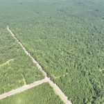 Caddo Parish Recreational land for sale