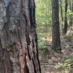 Recreational property for sale in Caddo Parish