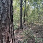 Recreational property for sale in Caddo Parish