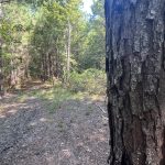 Recreational property for sale in Caddo Parish