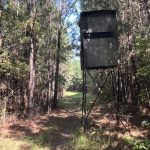Caddo Parish Timberland property for sale