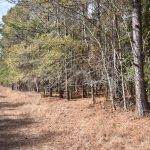Investment land for sale in Claiborne Parish