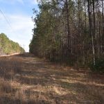 Claiborne Parish Investment property for sale